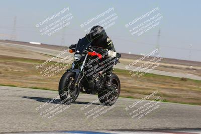 media/Feb-21-2025-Lets Ride (Fri) [[f483f33afd]]/A Group/1220pm (Wheelie BUmp)/